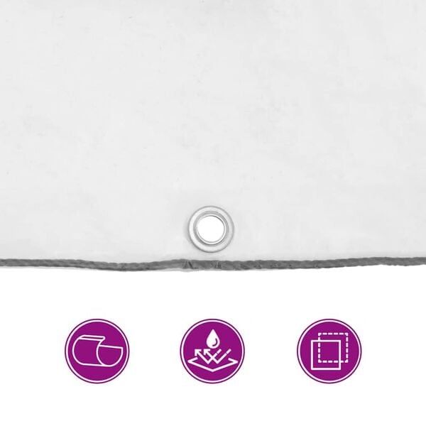 Altri Accessori: Bâche transparente avec œillets 1x2 m polyéthylène – Nuovo e nell'imballaggio originale da Palézieux venduto da bantouklan1 8