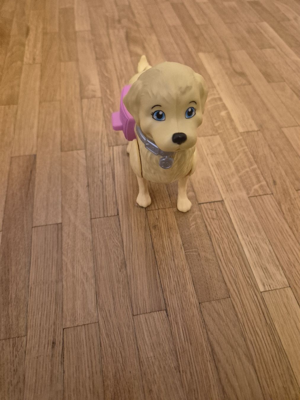 Bambole: Barbie et son chien – Usato da Granges-Paccot venduto da smo_dp89 2