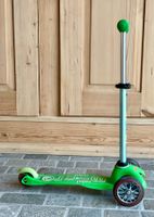 Kickboard „Mini Micro Green“