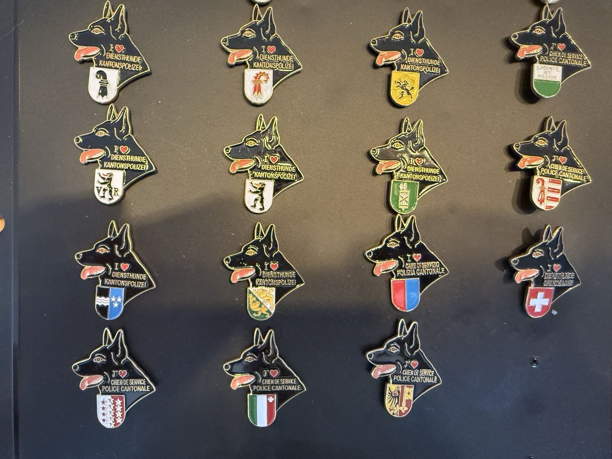 Placchette & Badge: Exklusive Sammlung Diensthunde Kantons Polizei Pins! – Usato da Bad Zurzach venduto da chr_wkq8 2
