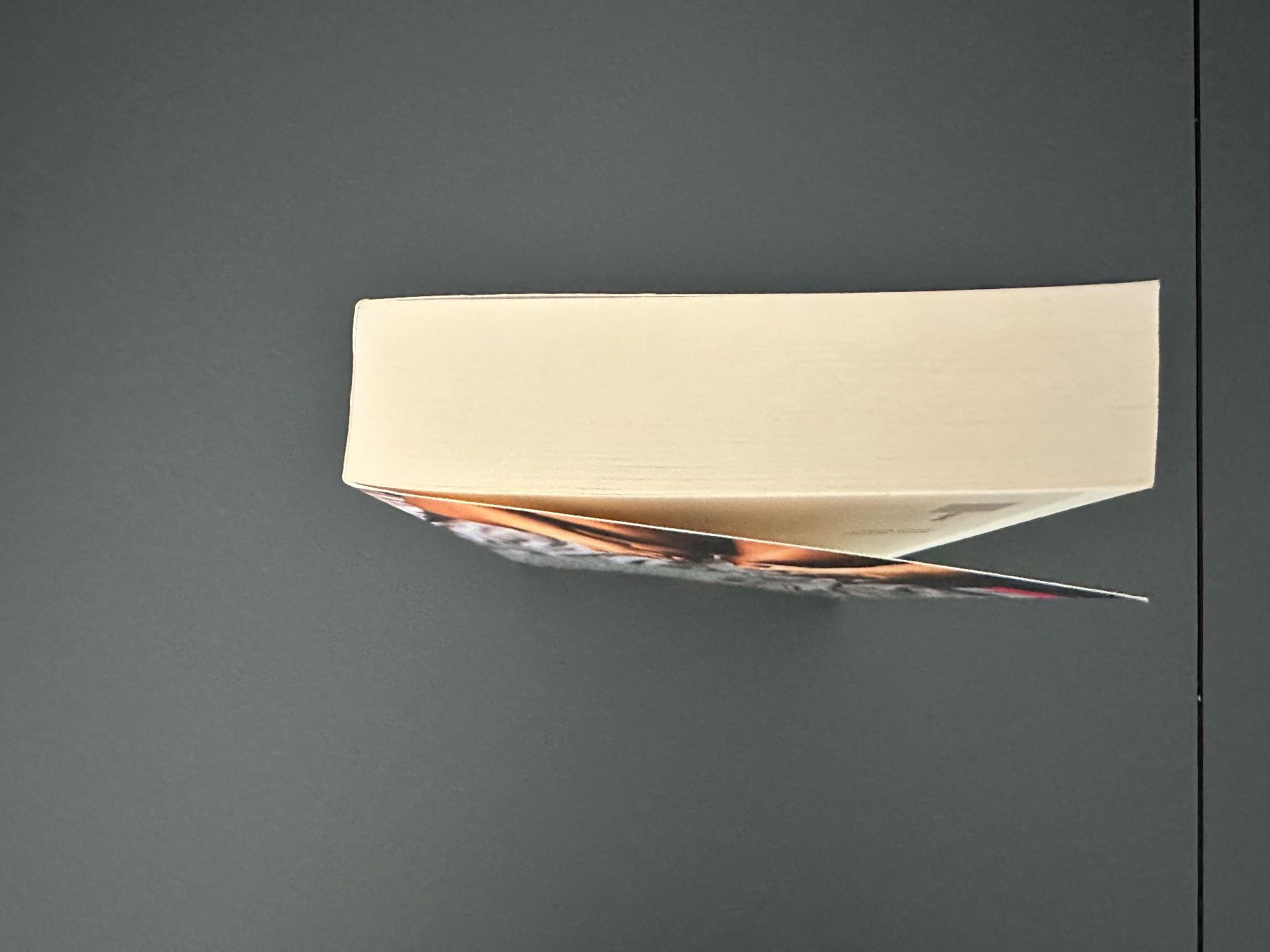 Libri: Petra Ivanov: Fremde Hände – Nuovo (secondo la descrizione) da Münsingen venduto da Sternsaphir64 2