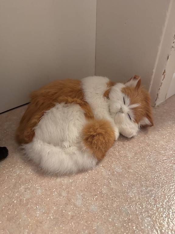 Jouets: Realistische Katzen Plüschtiere – D'occasion à Mellingen par Marvel69 2
