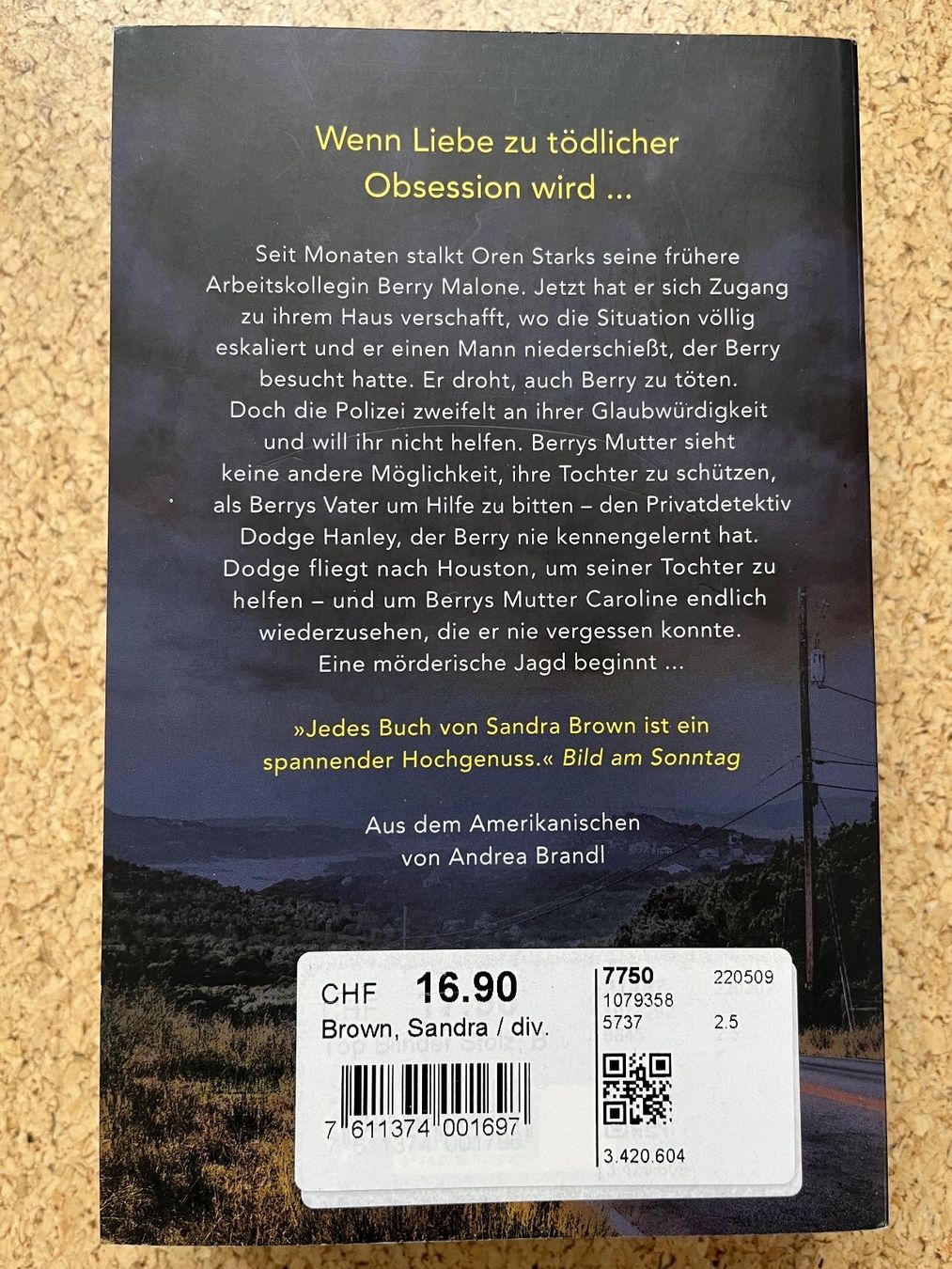 Libri: Taschenbuch "Blinder Stolz", Sandra Brown – Usato da Grosswangen venduto da Vita500 1