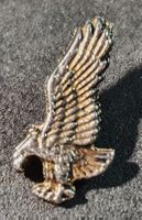 Z036 - Pin Adler