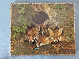 Holzpuzzle Füchse, Herstellung CH, 80 Teile