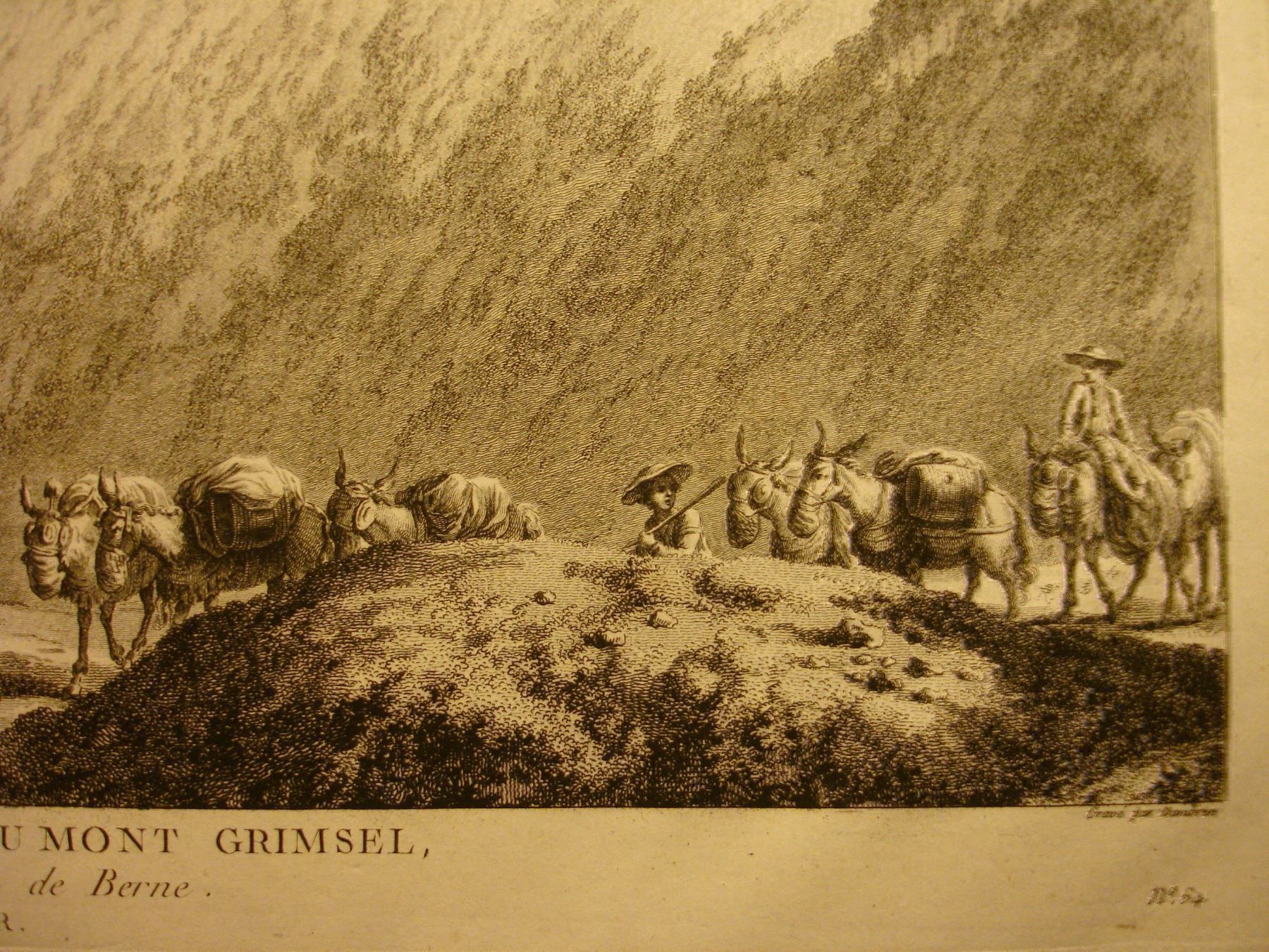 Incisioni: GRIMSEL, KUPFERSTICH 1788, MAULTIERE – Usato da Grüningen venduto da Kartensammler 3