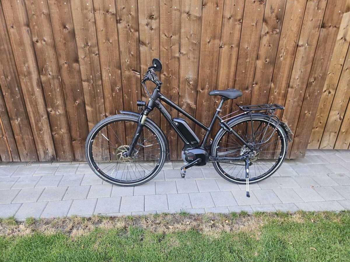 Bergamont Biciclette: E-Bike Bergamont E-Line C-XT – Usato da Utzenstorf venduto da Christa.3427