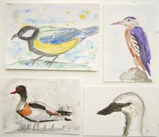 4 kleine Aquarell Zeichnungen: Vögel