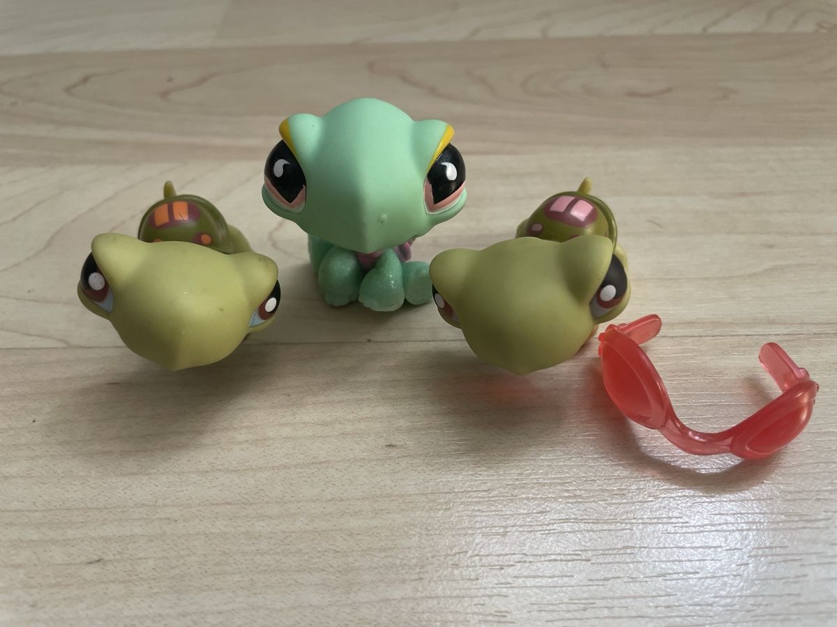 Hasbro Giocattoli: Littlest Pet Shop Turtles – Usato da Fribourg venduto da tinavon