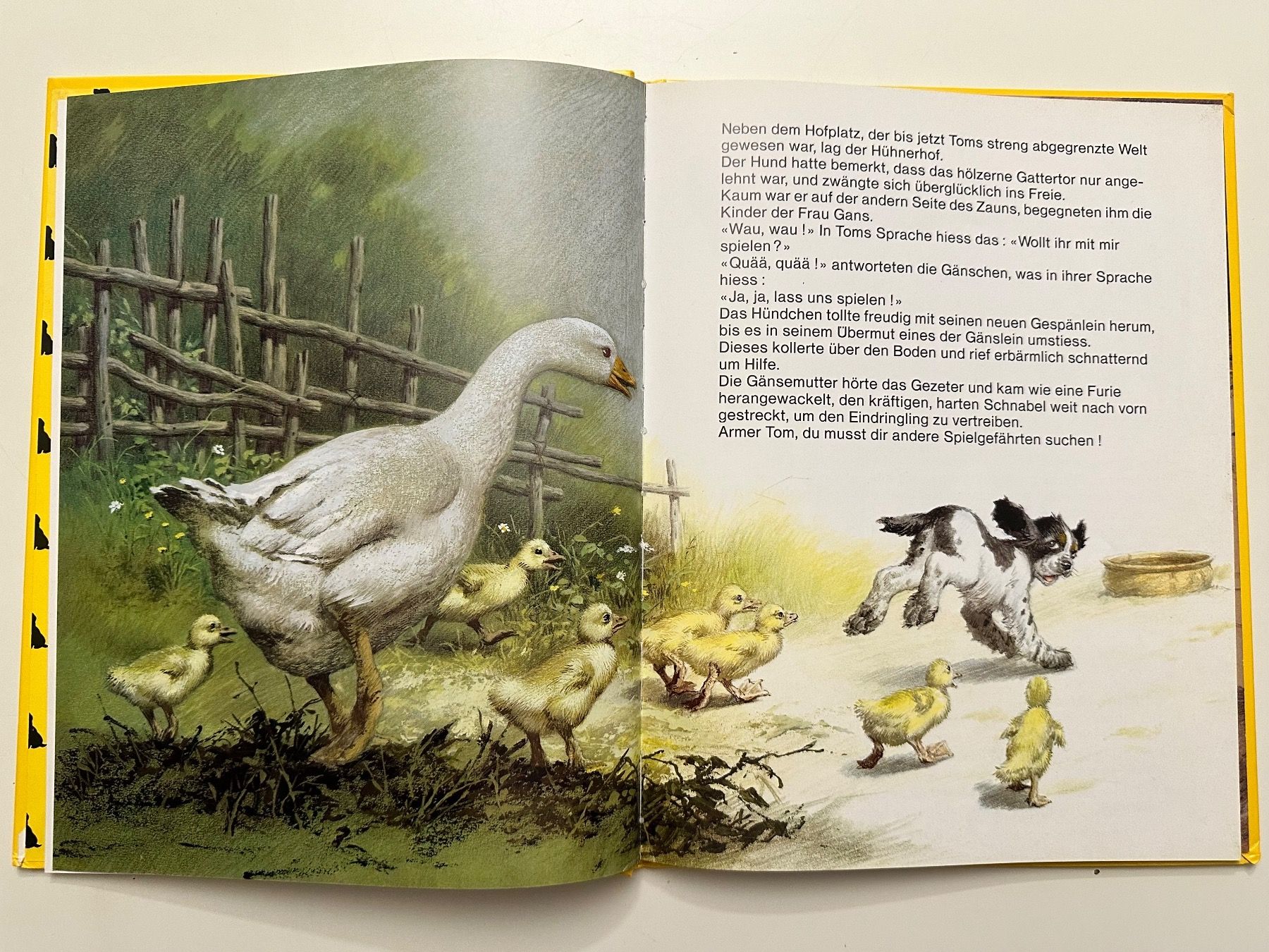 Libri: TOM das herrenlose Hündchen  - Hardcover – Usato da Münsingen venduto da Ganjam 4