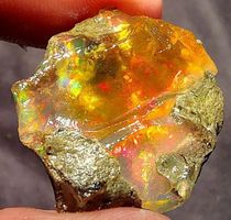 Edelstein L-7575 – Äthiopischer Feuer Opal 23X22X14MM 31.00