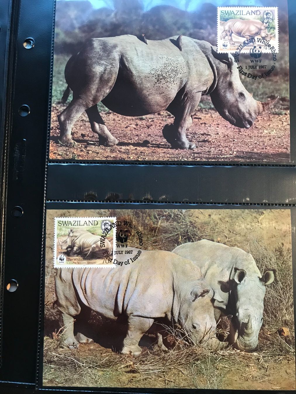 Tous les timbres: Swasiland 1987 Satz WWF Nashorn Maximumkarten – Neuf (Voir description) à Winterthur par schnueps 1