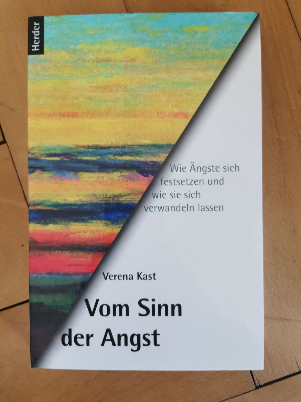 Libri: Vom Sinn der Angst von Verena Kast  – Usato da Bern venduto da cam_b7ts
