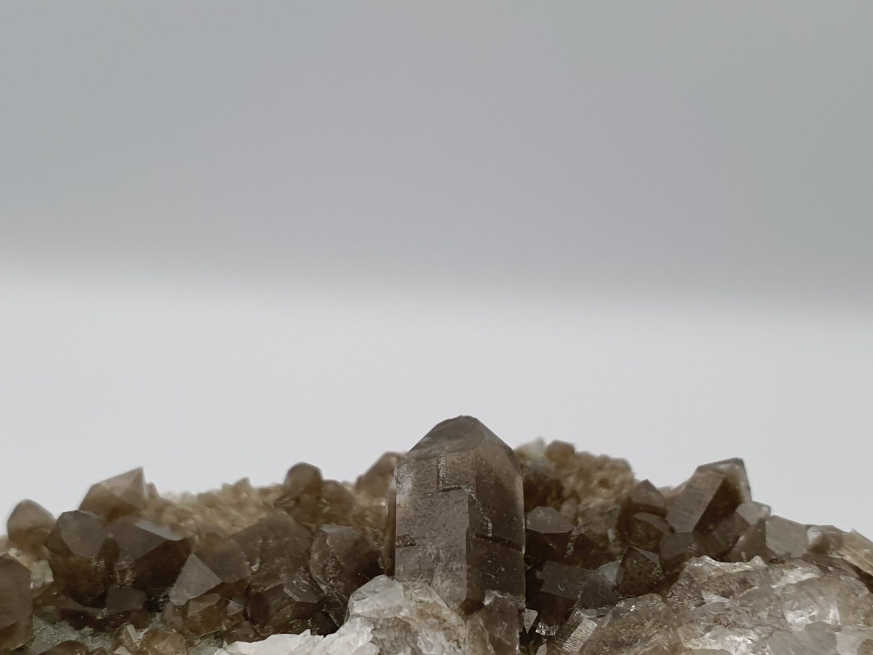 Mineralien & Heilsteine: Phantomquarzstufe – Neu (gemäss Beschreibung) aus Holderbank SO von swiss-minerals