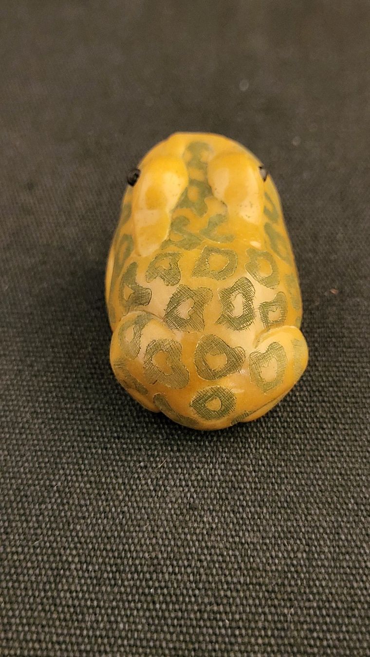Statuette: Frosch aus Tagua-Nuss, signiert - NETSUKE – Usato da Basel venduto da spinne02 2