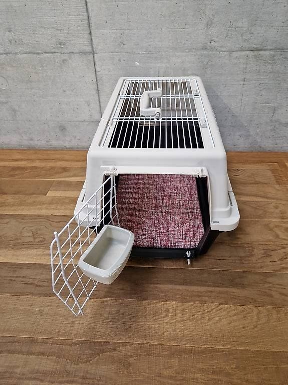 Gabbie, trasporto & Sicurezza: Hundetransportbox – Usato da Basel venduto da Angegiulio