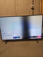 Samsung Fernseher 55 Zoll Defekt dunkler Fleck.
