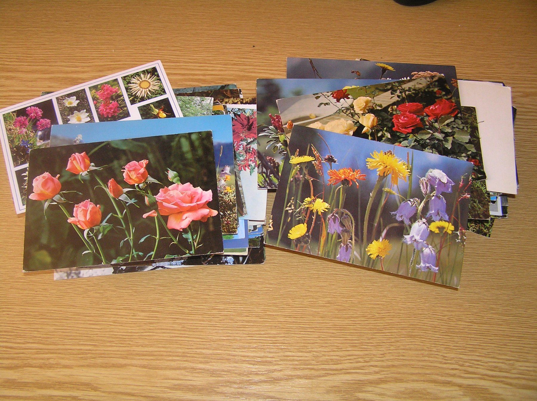 Cartes postales: 160 Schöne Blumenkarten – D'occasion à Lumbrein par made02