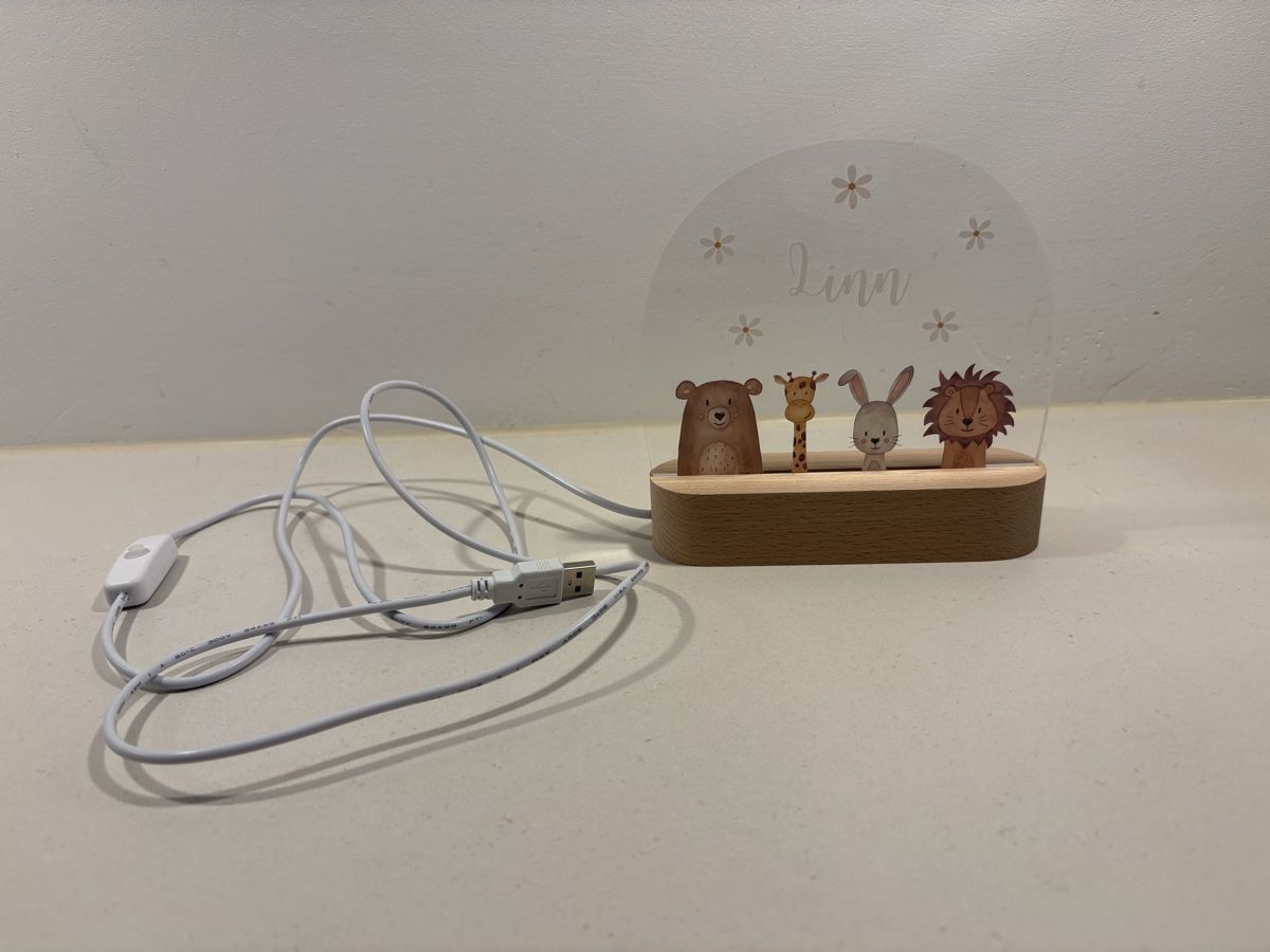 Lampen: Namensschild LINN als LED-Lampe – Gebraucht aus Felsberg von Riggel 2