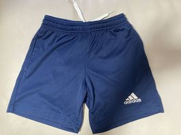 Adidas Shorts 116
