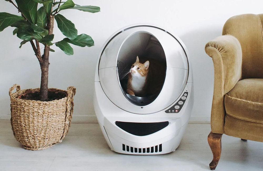 LitterRobot 3 Connect Smarte Katzentoilette Kaufen auf Ricardo