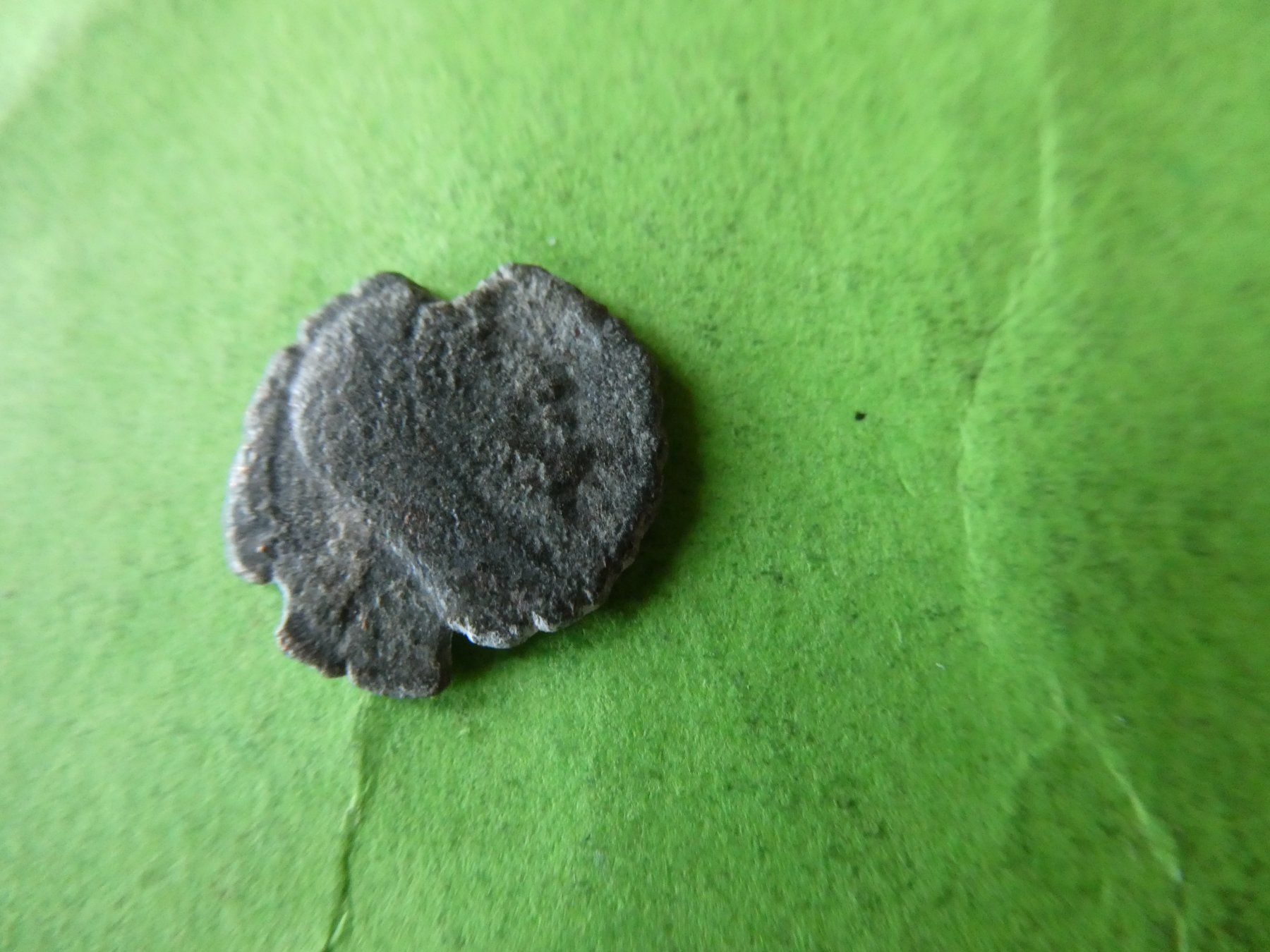 Tutti le monete: uralte Bronzemünze  14 mm     1.23 g – Usato da Hinterforst venduto da Rohusri