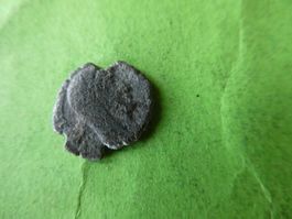 uralte Bronzemünze  14 mm     1.23 g