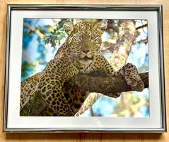 Bild Leopard mit Metallic-Effekt
