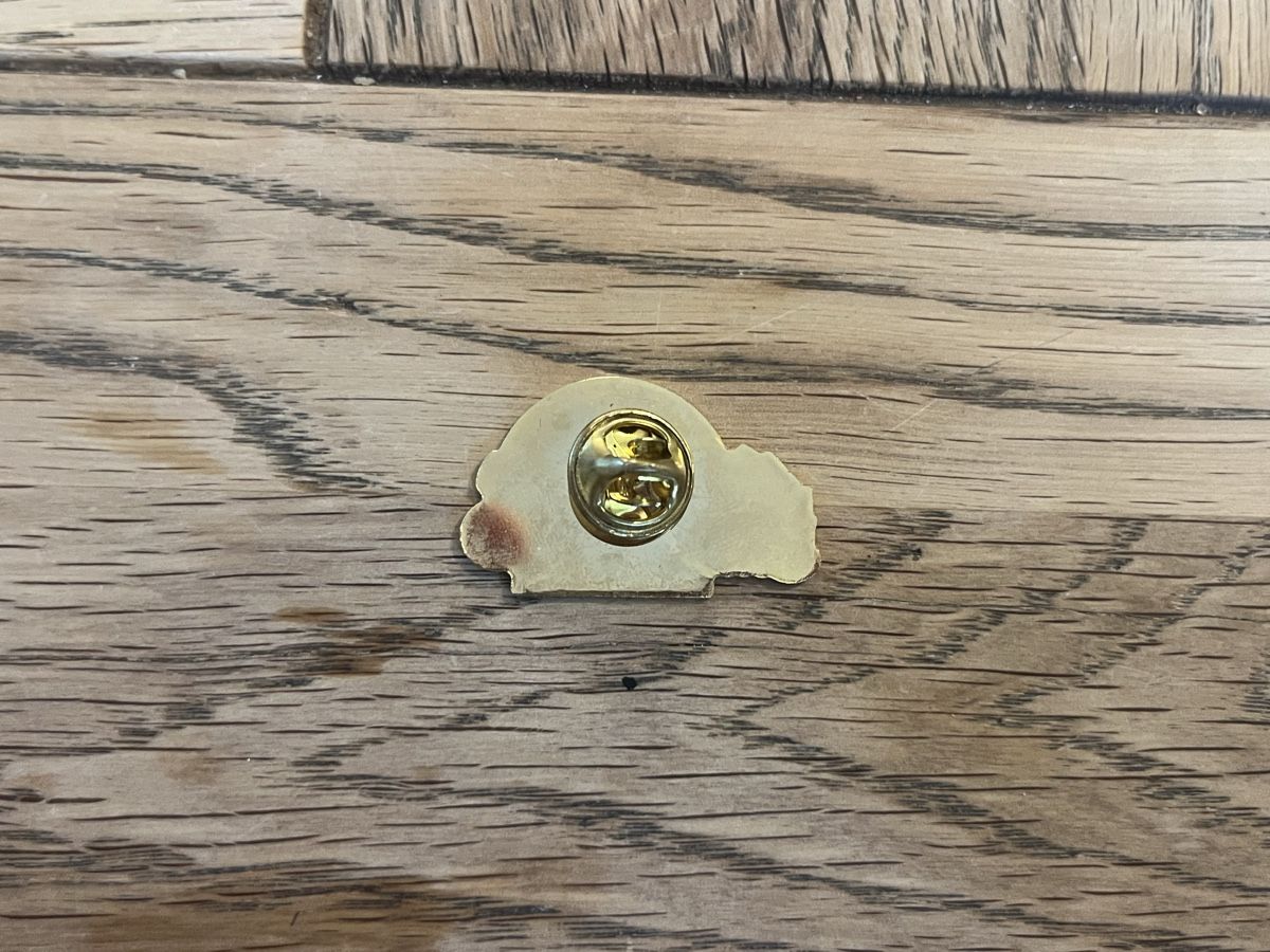 SBB/CFF/FFS Plaketten & Abzeichen: Junior Club SBB CFF FFS Pin – Gebraucht aus Ehrendingen von Duwe_KlG 1