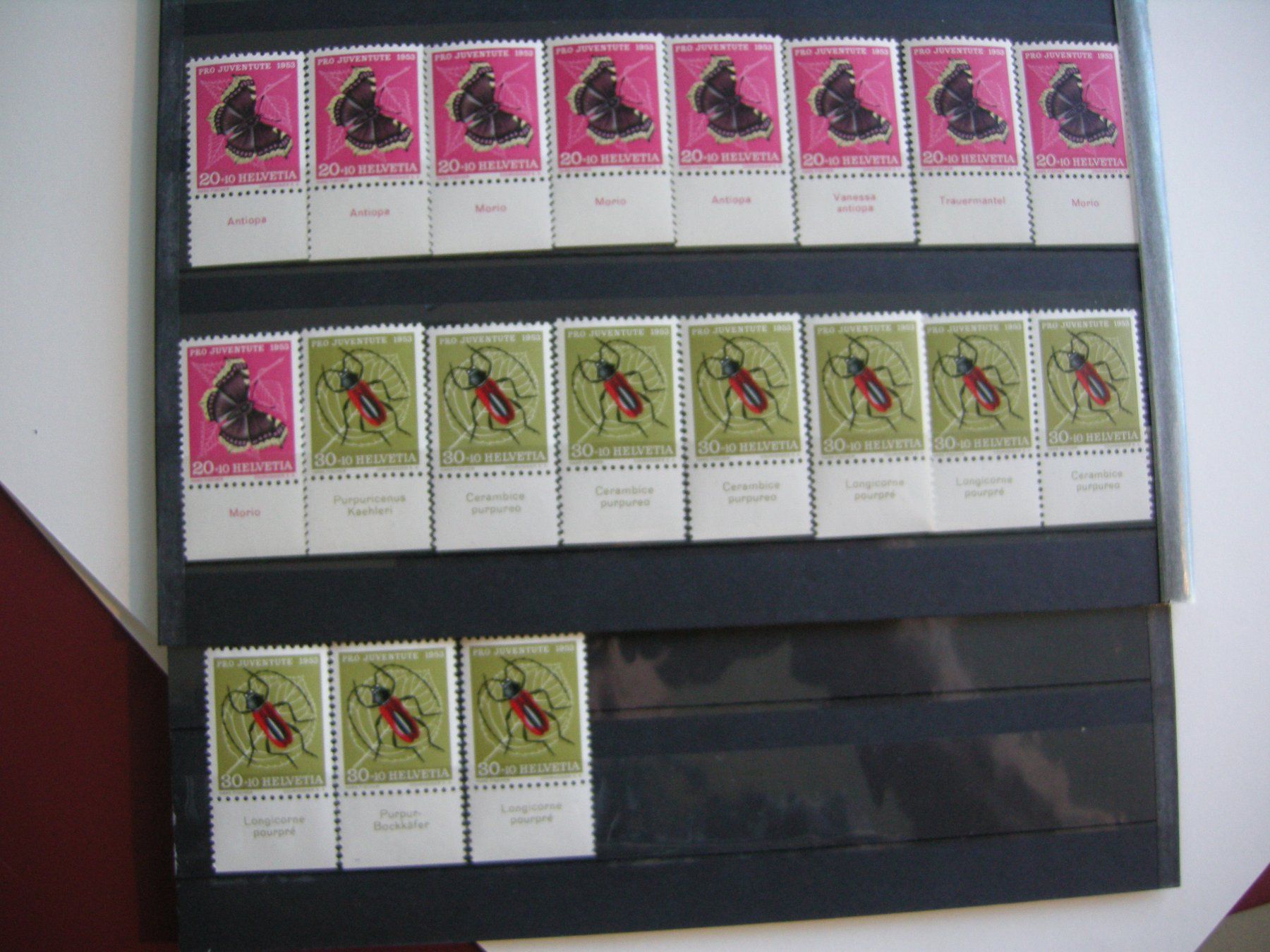 Alle Briefmarken: 1952/1953 PRO JUVENTUTE TABS, RESTLOT, POSTFRISCH/** – Gebraucht aus Rüti ZH von jupi1945 3