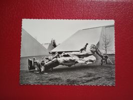 Expo Lausanne 1964 s/w Karte La Voie Suisse Riese