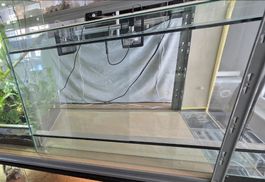 Glsaterrarium 120x60x80