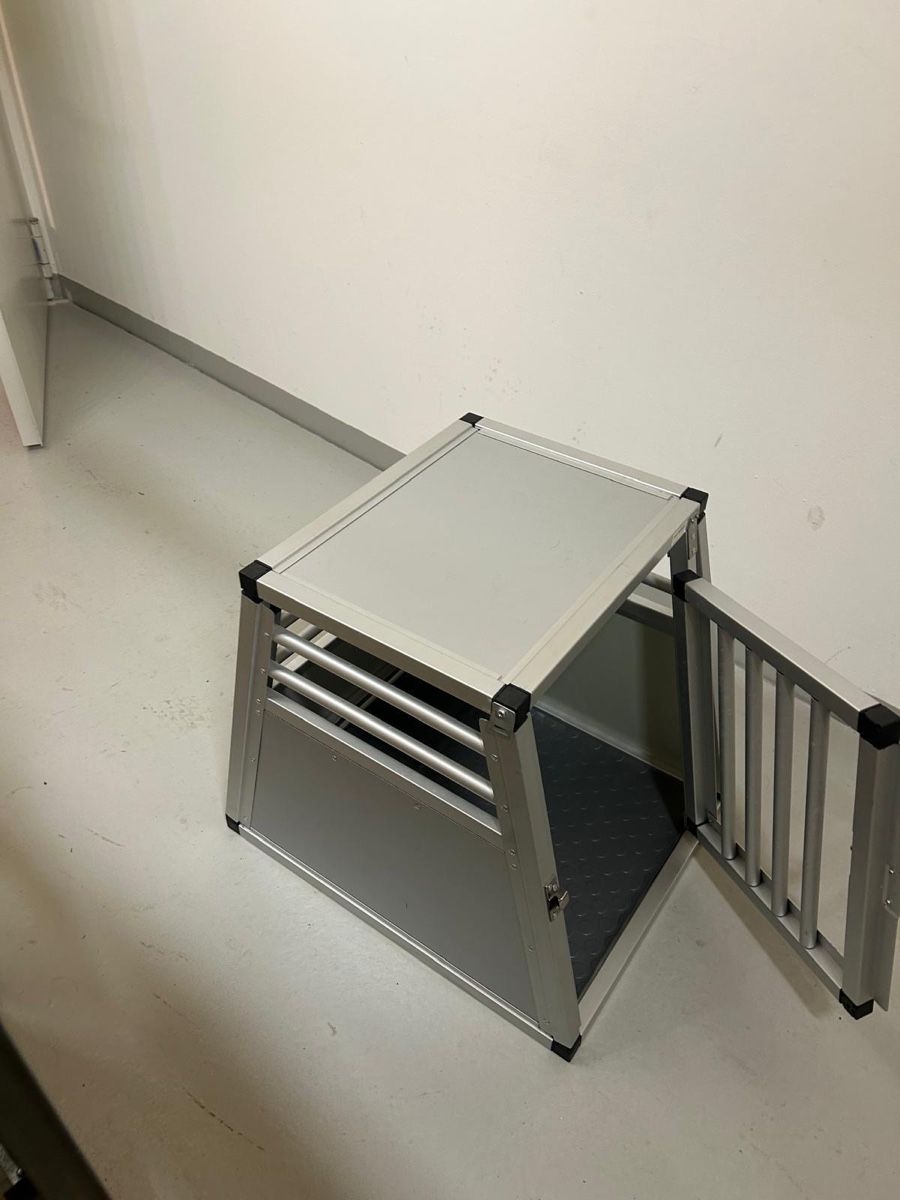 Cucce & Letti: Grosse Hunde Transportbox – Nuovo (secondo la descrizione) da Alpnach Dorf venduto da beauty87 1