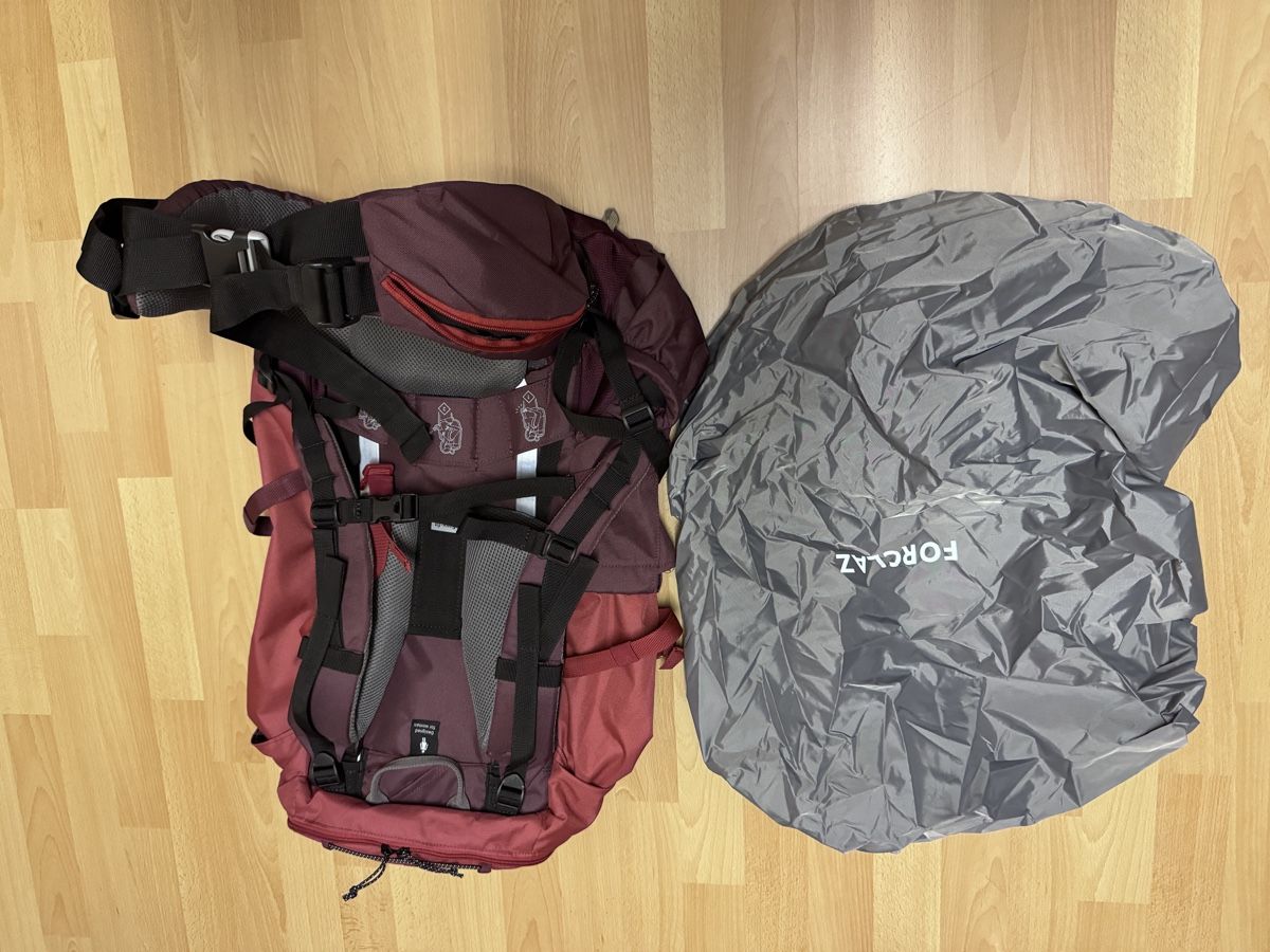Decathlon Zaini: Forclaz Mt 100 Easy-Fit 50l – Nuovo (secondo la descrizione) da Wetzikon ZH venduto da bos_7dbr 2
