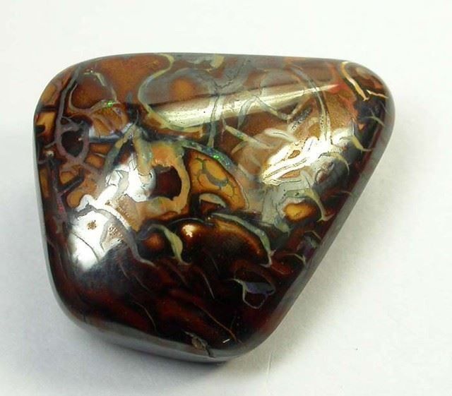 Pietre preziose: Australischer Boulder Opal 35.60Cts. – Usato da Bern venduto da Grindelwaldaus 1