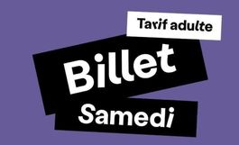 Billets Paléo samedi