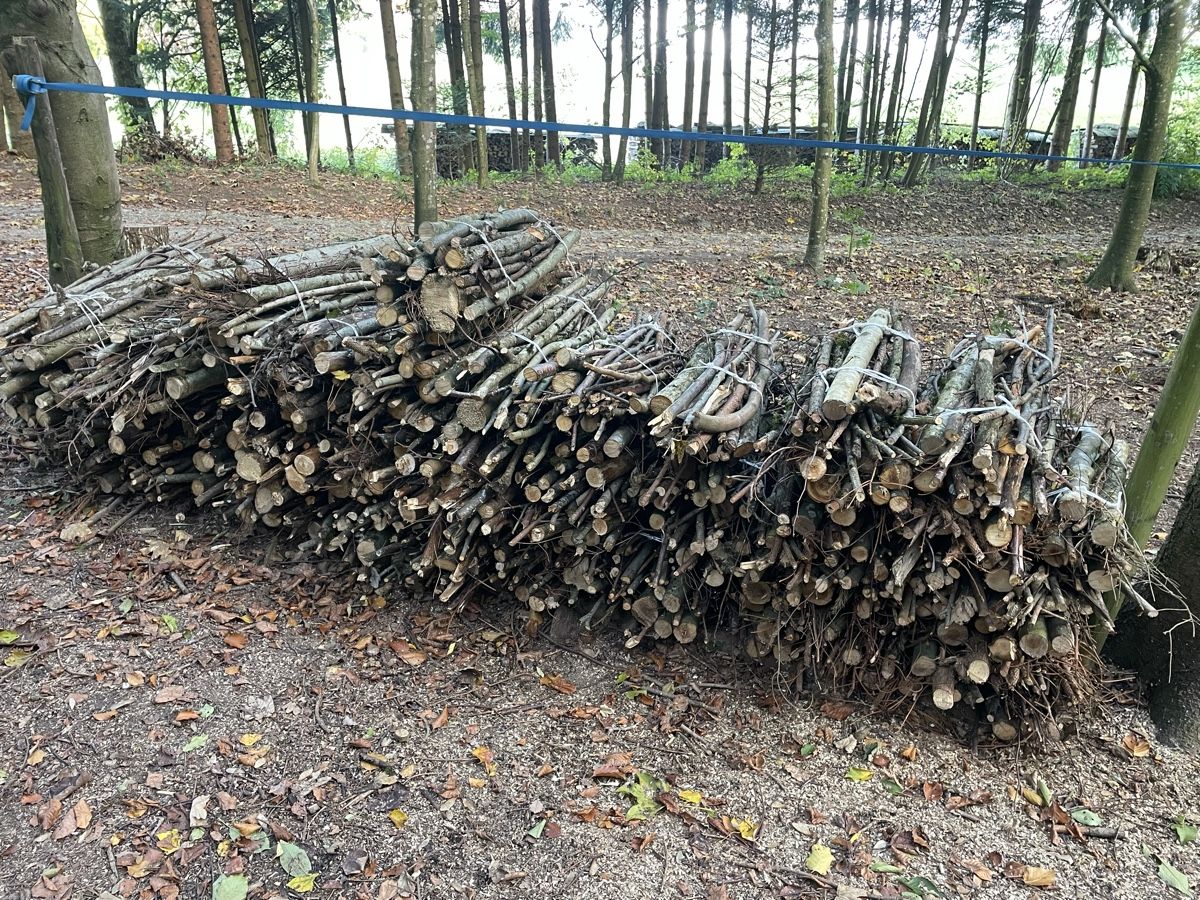 Holzartikel: Brennholz – Neu (gemäss Beschreibung) aus Birrwil von Memme0 2