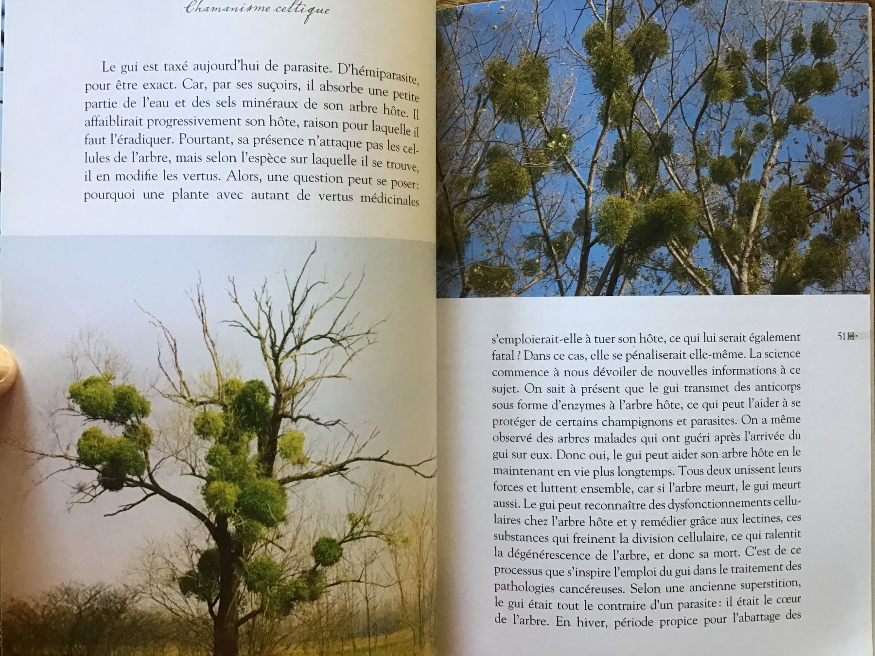 Livres: Chamanisme celtique, ces arbres nos maîtres – D'occasion à Fully par Ruby97 5