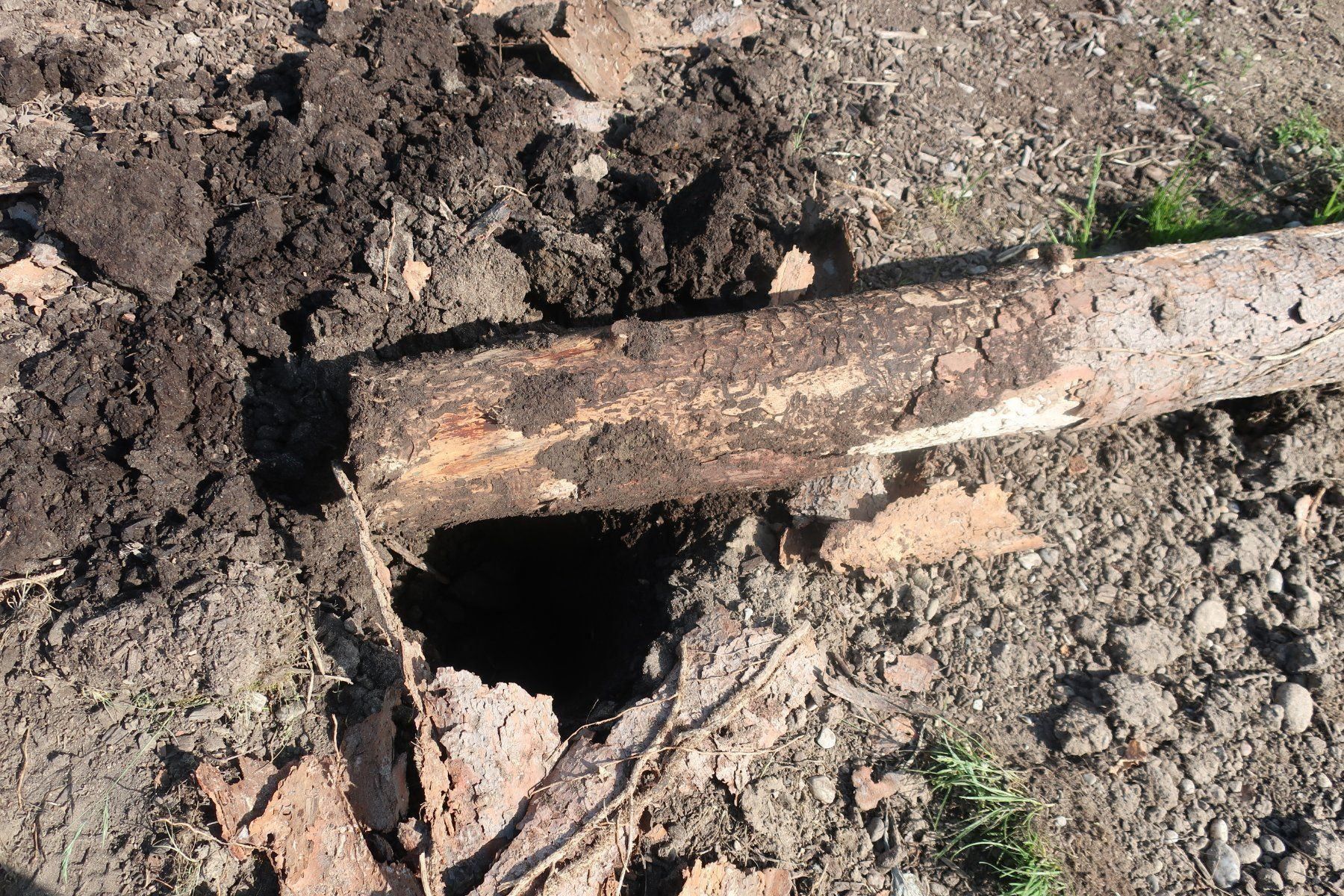 Tutte le macchine: Vibroplatte Virbrorammer Bagger – Nuovo e nell'imballaggio originale da Kastanienbaum venduto da acapulco 9