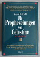 Die Prophezeiungen von Celestine - abenteuerliche Erzählung