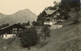 Kiental   BE   -   Pension BERGFRIEDEN