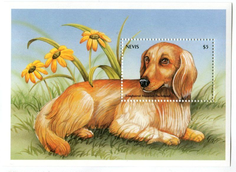 Tutti i francobolli: Block "Dachshund". Nevis – Nuovo e nell'imballaggio originale da Basel venduto da Butsch5