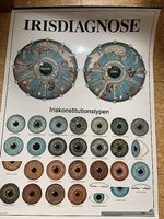 Plakat Irisdiagnose