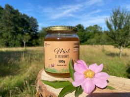 Miel de Printemps 500g à consommer rapidement