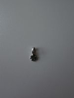 Pandora Charm