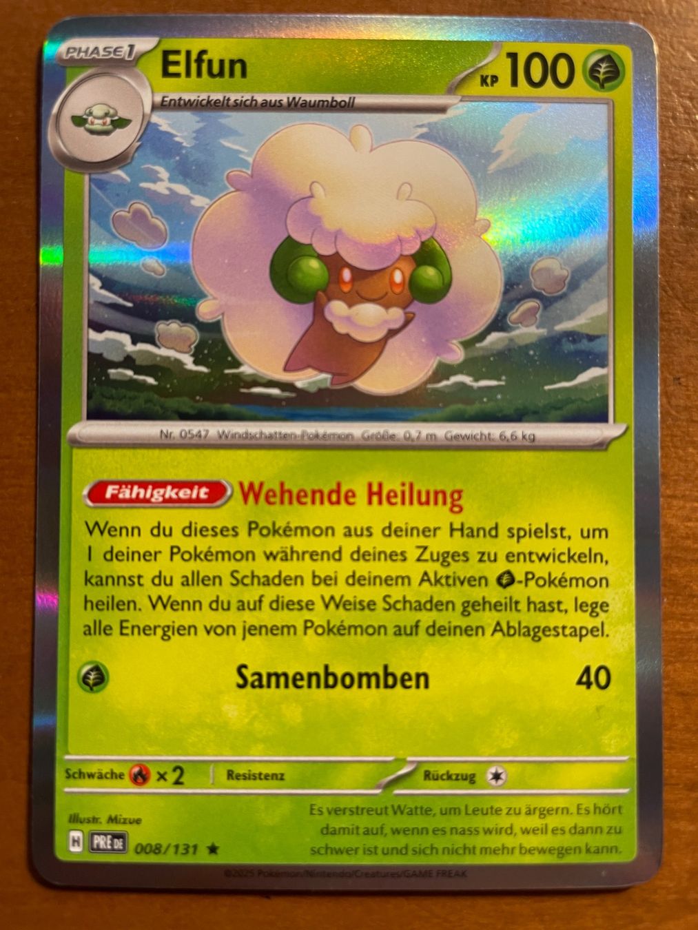 Pokémon Carte collezionabili: Pokemon Elfun Holo (Versand gratis) – Nuovo (secondo la descrizione) da Chur venduto da Angerson