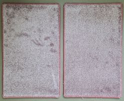 2 Stk. Türvorlege Fussmatte Eingangsteppich 80x50cm