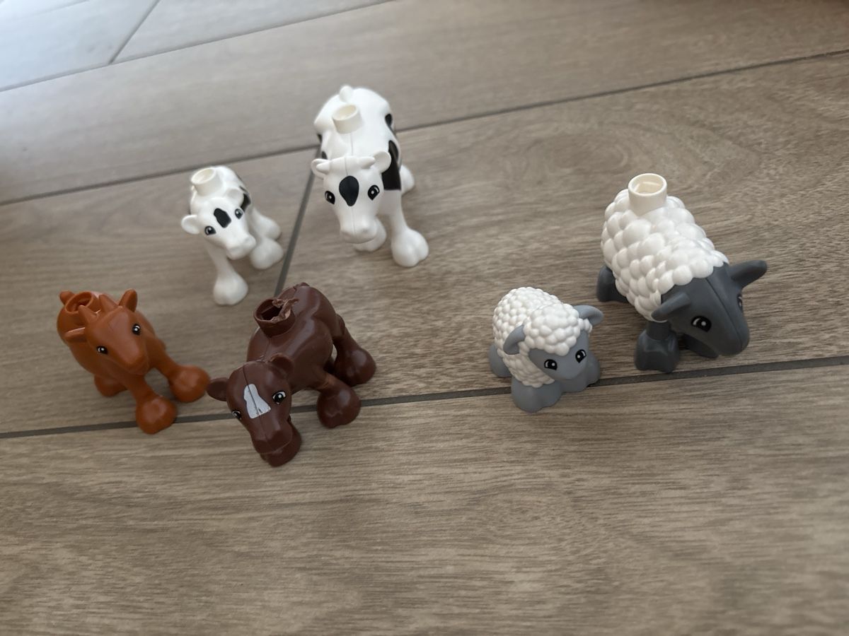 Lego Giocattoli: Bauernhoftiere – Usato da Oberriet SG venduto da melaja 2