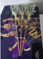 target luke littler world champion darts