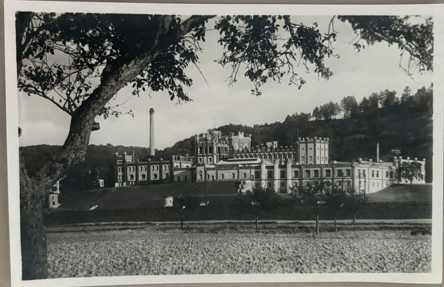 Cartoline postali: Brauerei Feldschlösschen, Rheinfelden – Usato da Frauenfeld venduto da Merk52